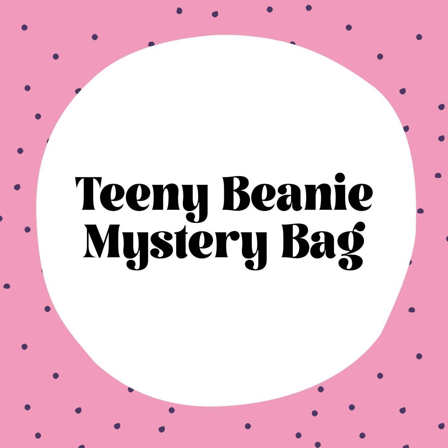 Teeny Beanie Mystery Bag